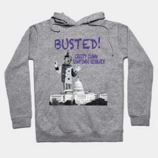 Trump Busted! Hoodie